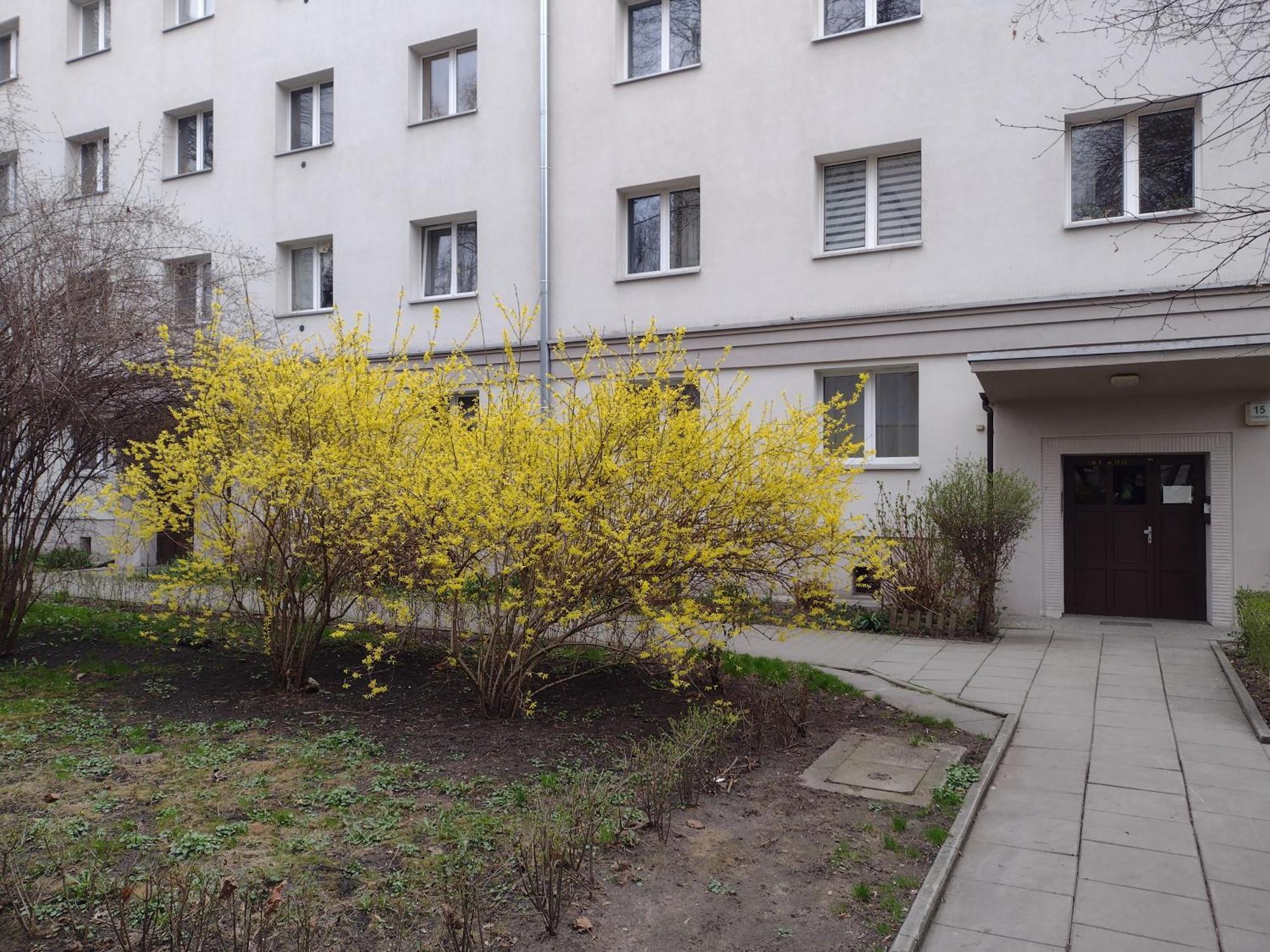 Cracowapart Ignacio A Krakow Luaran gambar
